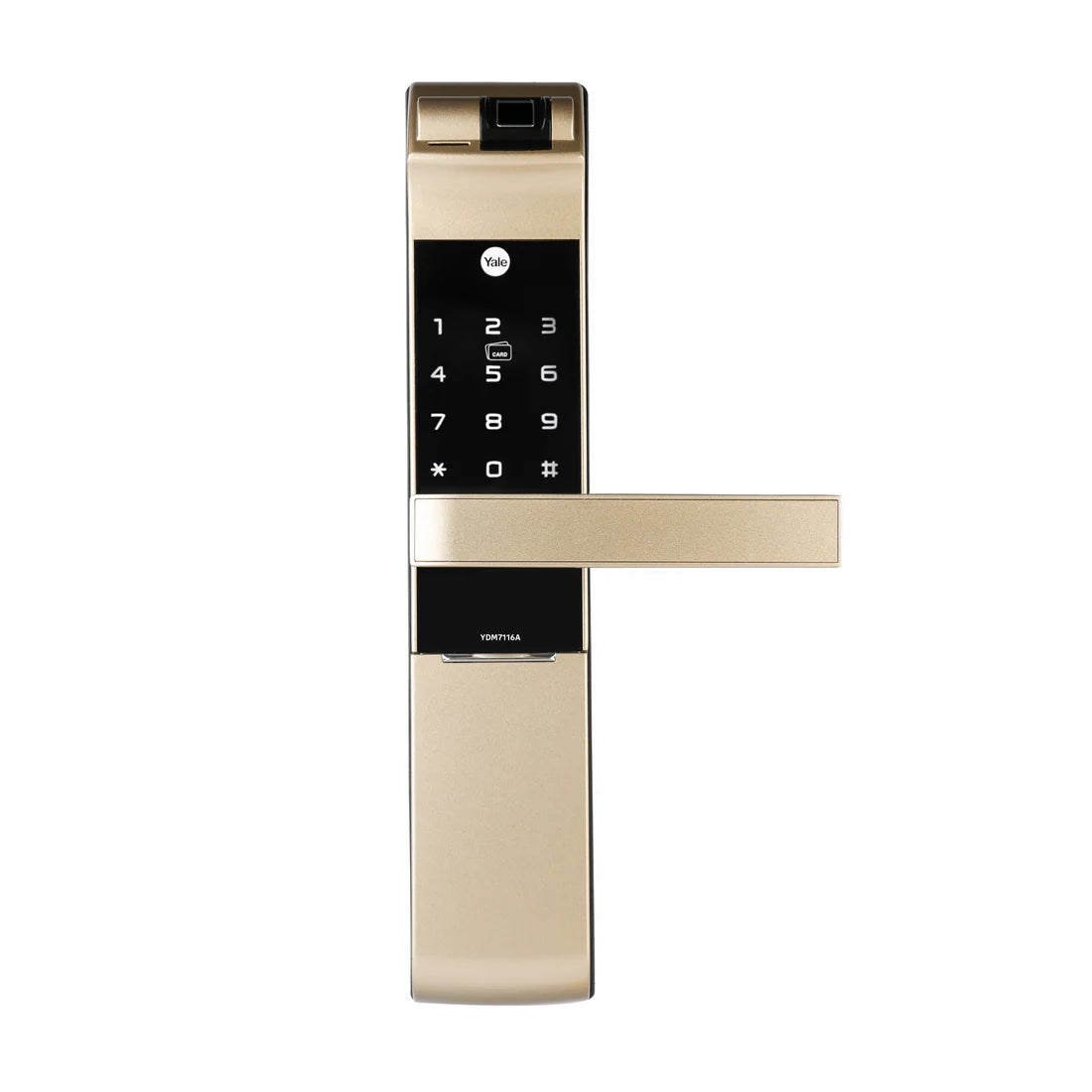 YDM 7116A Smart Lock (Champagne Gold)