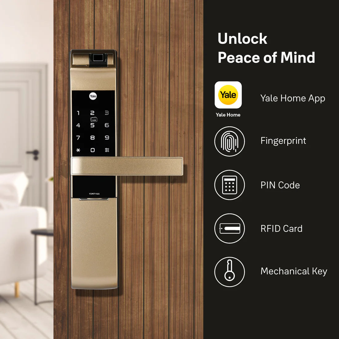 YDM 7116A Smart Lock (Champagne Gold)