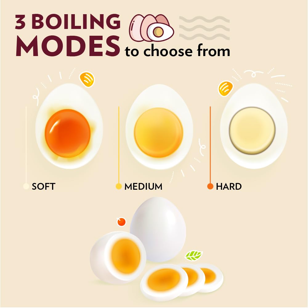 Electric Plus Egg Boiler, Boil Upto 8 Eggs At A Time, For Hard, Soft, Medium Boiled Eggs, Steamed Vegetables, Transparent Lid, Stainless Steel Exterior