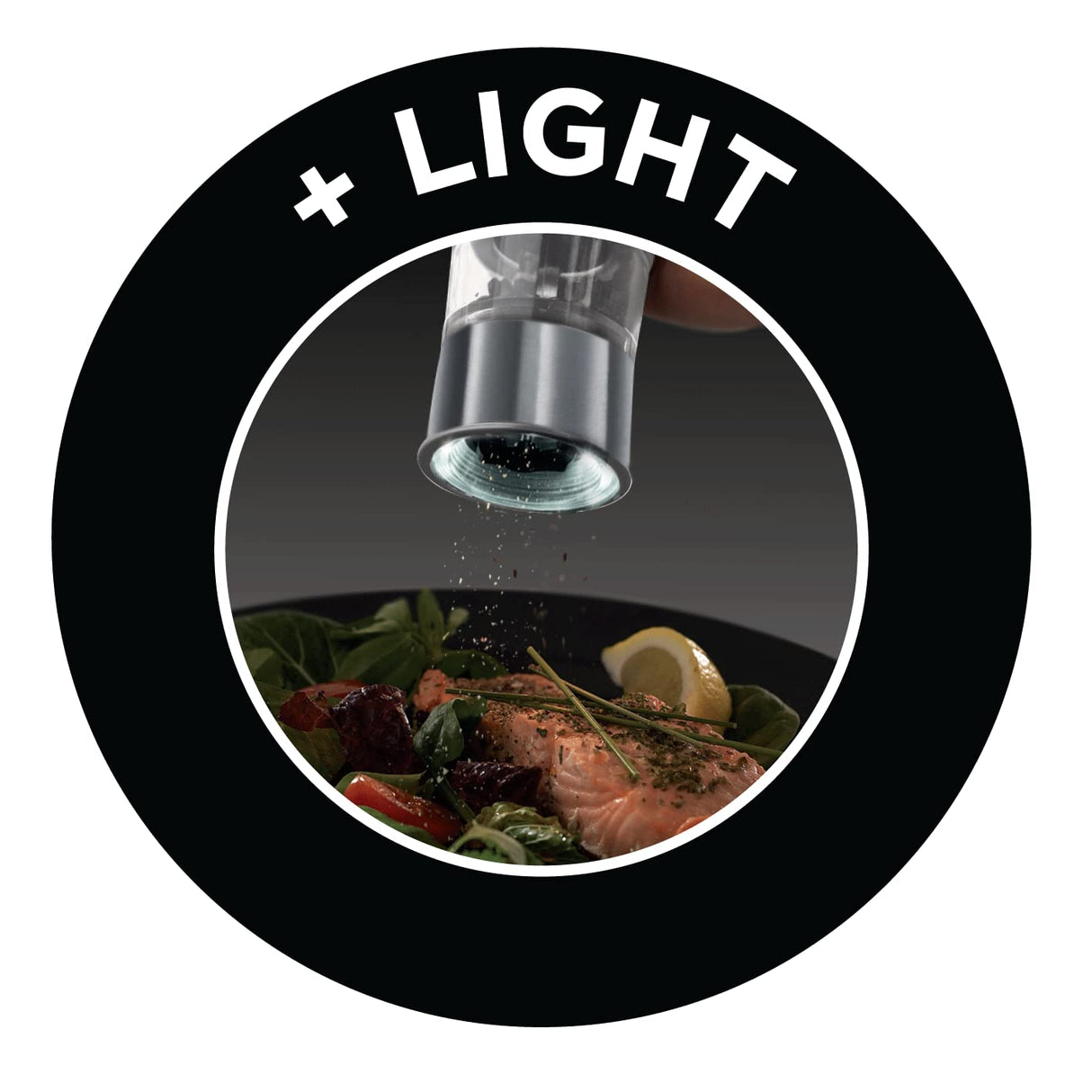 1500W Handheld Garment Steamer RGS1500HANDYE