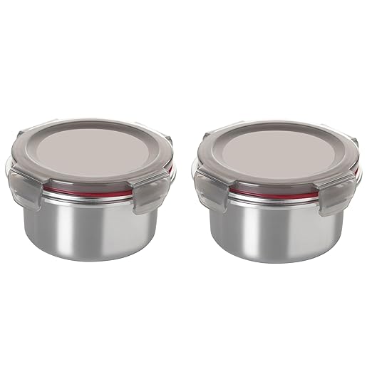 Celltone Microwavable 304 Stainless Steel Food Container with Carry Bag Leak-Proof, Fridge-to-Oven, Microwave Safe, Portable Lunch Boxes for Office, School & College (Set of 2 (400 ml x 2)
