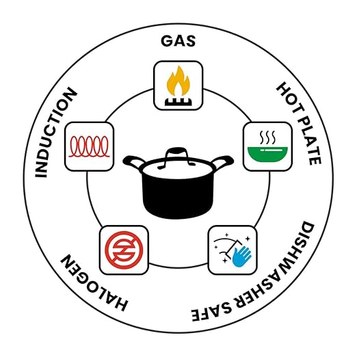 Signora Ware Artista Triply Stewpot Stainless Steel Induction Compatible Triply with Steel Lid (Induction and Gas Compatible), 24Cm, Capacity 5400Ml, Silver