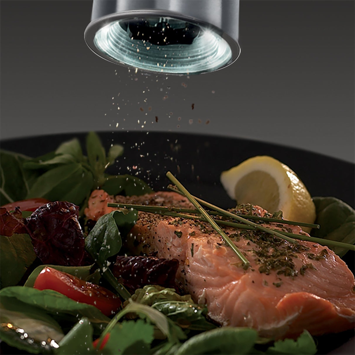 1500W Handheld Garment Steamer RGS1500HANDYE