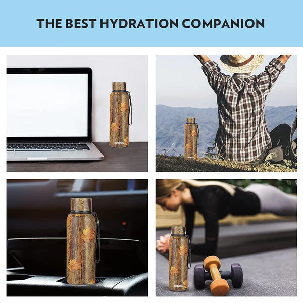 Trek Maple 700ML Stainless Steel Water Bottle (BT700MPL7116) – 20 Hours Hot, 24 Hours Cold, Wide Mouth, Durable Finish