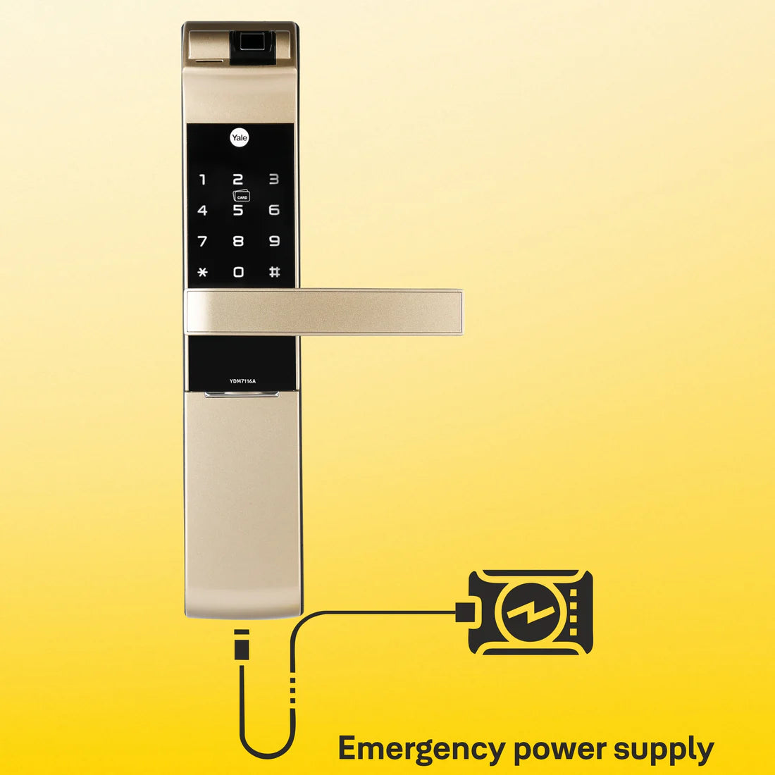 YDM 7116A Smart Lock (Champagne Gold)