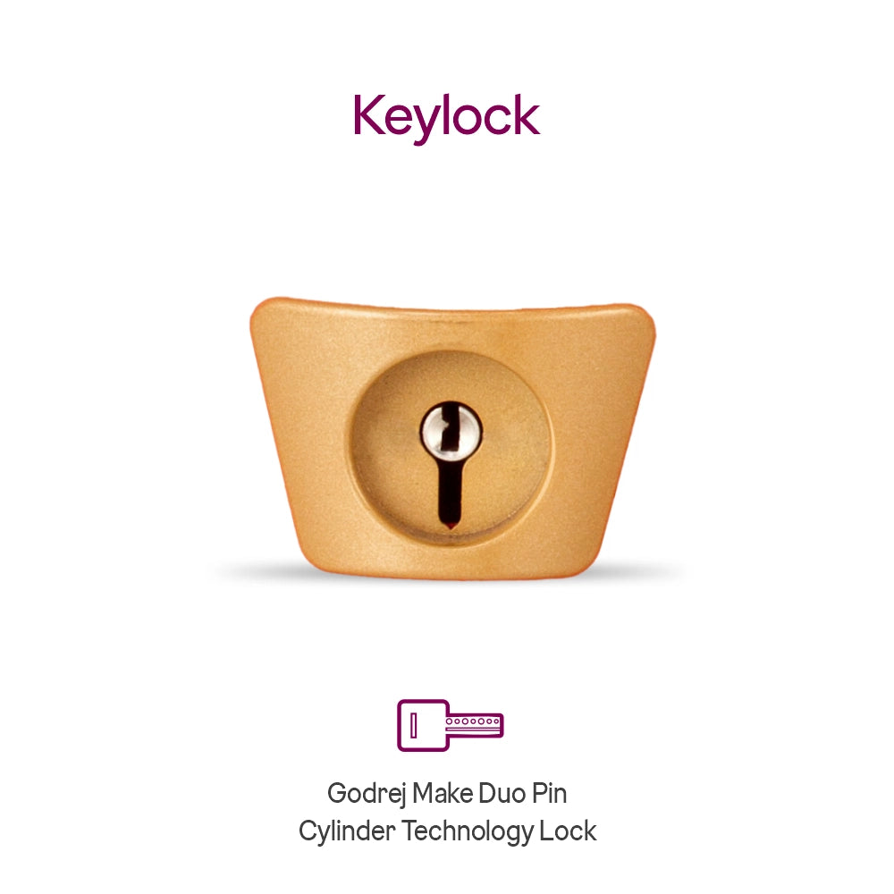 Premium Coffer V1 Red Home Locker with Key Lock