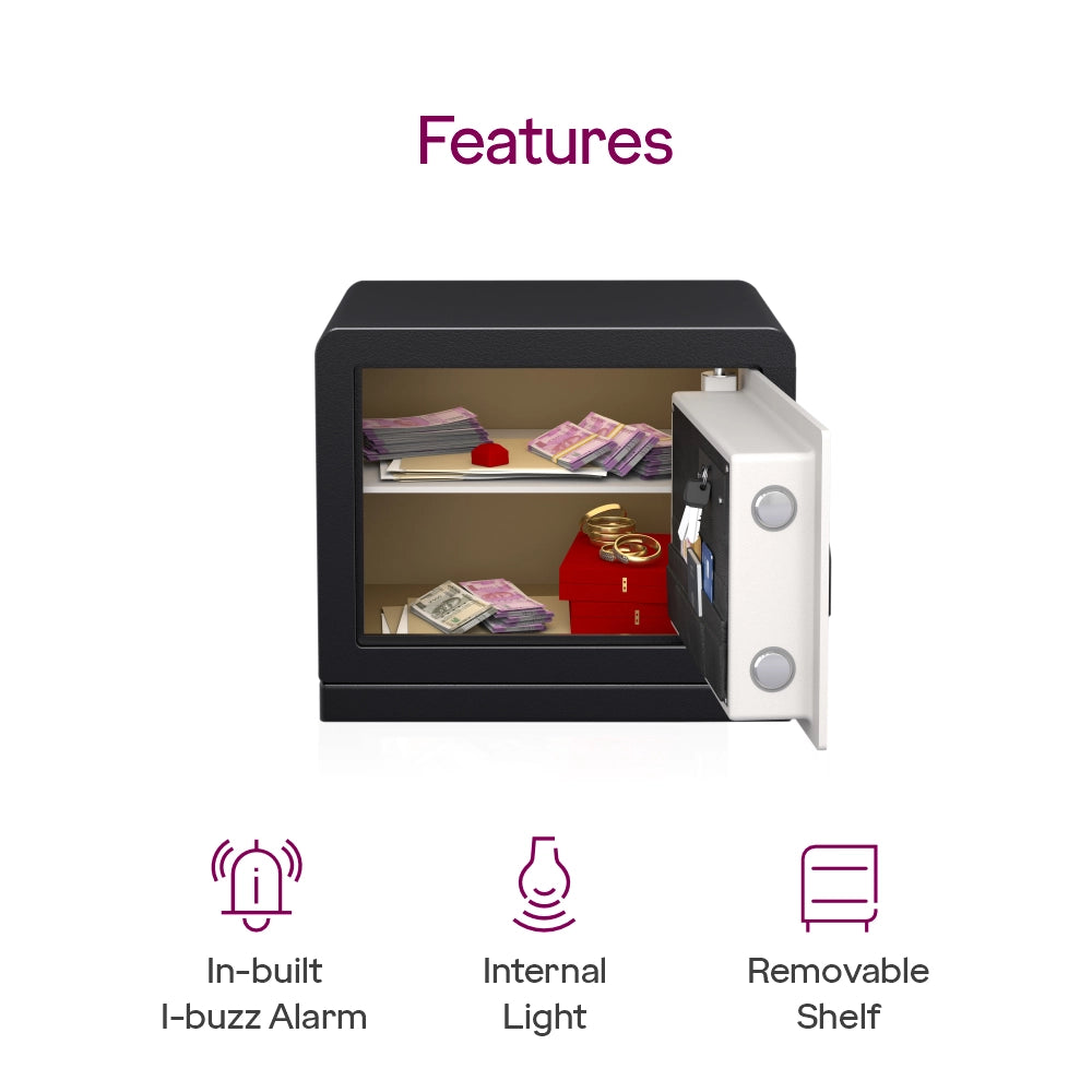 Ritz Bio Home Locker with Biometric Access & i-Buzz Alarm