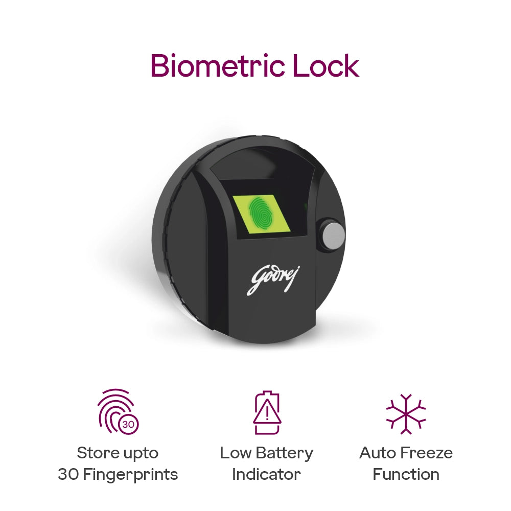 Ritz Bio Home Locker with Biometric Access & i-Buzz Alarm