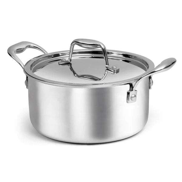 SignoraWare Artista Triply Stewpot Stainless Steel Induction Compatible Triply with Steel Lid (Induction and Gas Compatible), 26cm, Capacity 6700ml, Silver