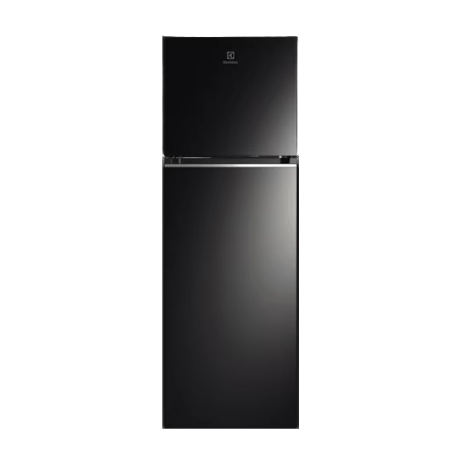 360L UltimateTaste 300 Top Freezer Refrigerator ETB3700K-H XIN