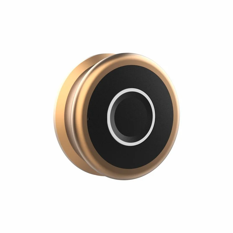 YLDRPC-RG Fingerprint access Furniture Lock