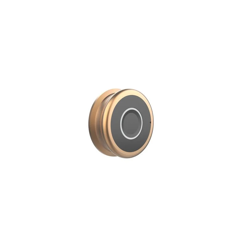 YLDRPC-RG Fingerprint access Furniture Lock