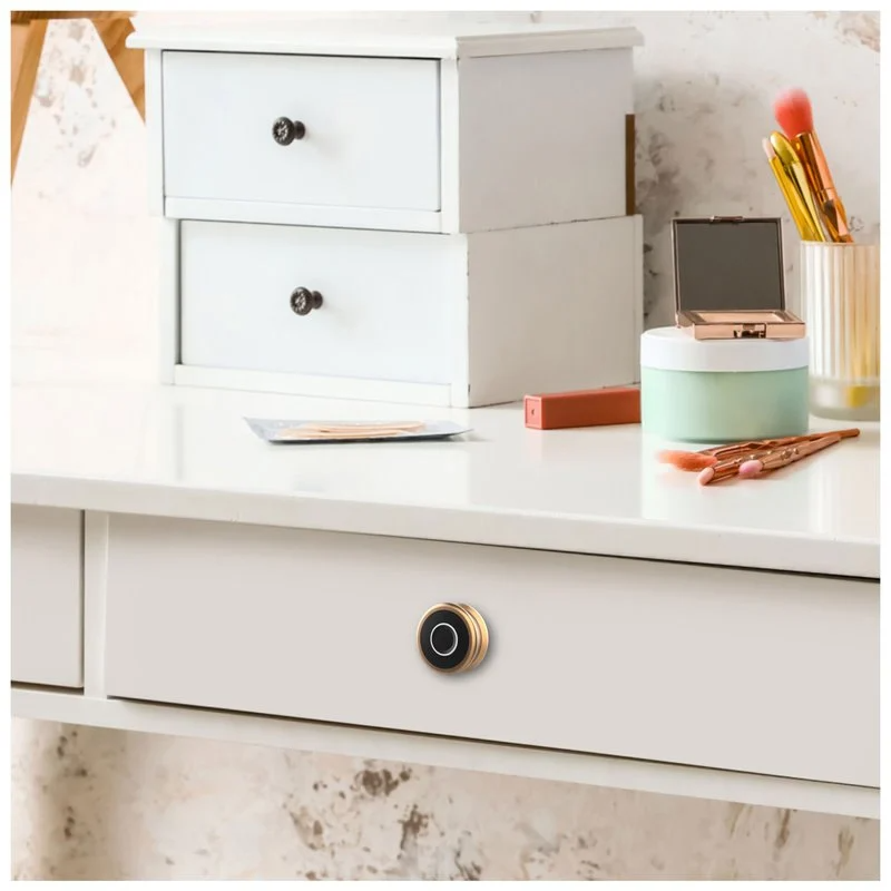 YLDRPC-RG Fingerprint access Furniture Lock