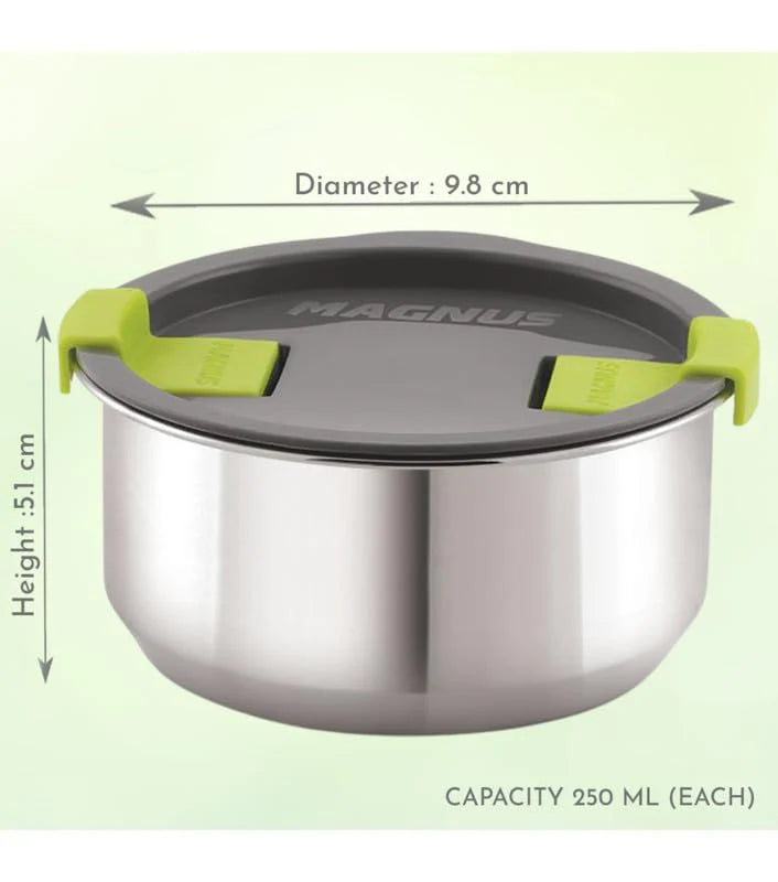 Olive-2 Stainless Steel Lunch Box Set – 2 Leak-Proof Containers with Insulated Bag | Airtight, Durable & Microwave-Safe Tiffin for Office, School, Kids & Travel (Silver)