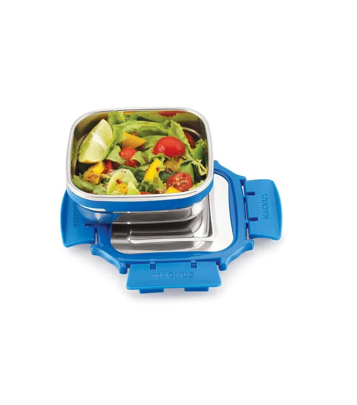 Bolt Deluxe Stainless Steel 300ML Lunch box for Office & School – Leak-Proof, Air-Tight Food Storage, Compact 300ml Lunch Box for Kids