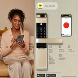 YDM 7116A Smart Lock (Champagne Gold)
