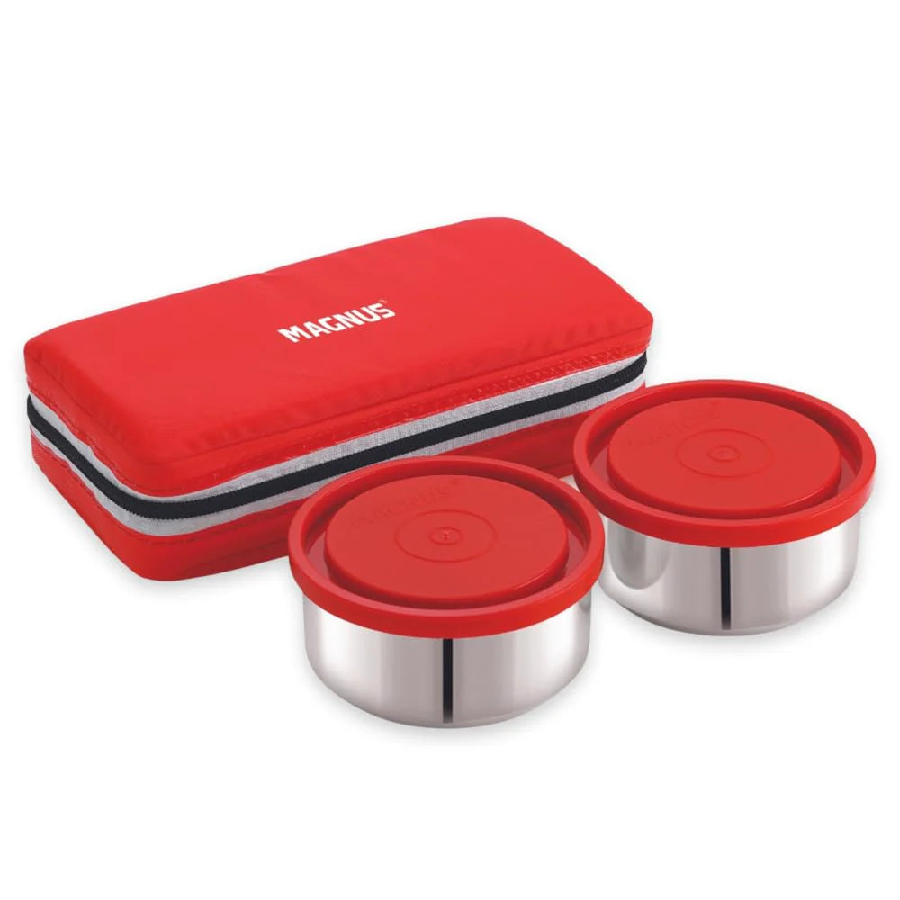 Fancy-2 Stainless Steel Lunch Box Set – 2 Leak-Proof Containers with Insulated Carry Bag | 1050ml Compact Tiffin for Office & School, Washable Cover