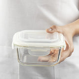 Borosil Glass Container Set, Set of 3 (320ml, 520ml & 800ml), Transparent