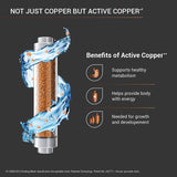 Superio RO+UV Water Purifier with Patented Active Copper Technology & Stainless Steel Tank
