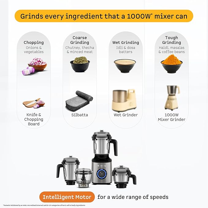 Zenova Mixer Grinder (Sand Grey)