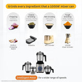 Zenova Mixer Grinder (Sand Grey)