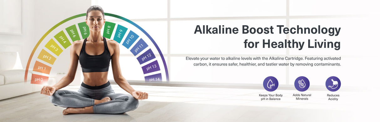 Enrich Astor WS RO+UV Alkaline Water Purifier