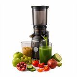 Fauna+ Cold Press Slow Juicer B624 with Reverse Technology and Anti-Drip System