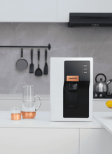 Enrich Astor WS RO+UV Alkaline Water Purifier