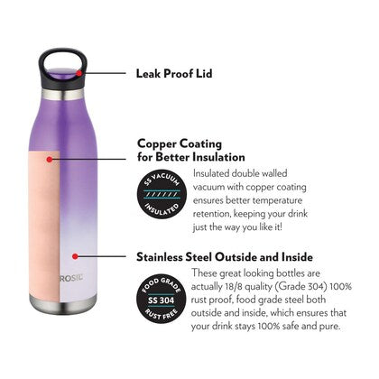 ColourCrush Violet 700ML Hot & Cold Stainless Steel Bottle | 24 Hrs Temp Retention | Easy Carry Handle | BTO700VLT403