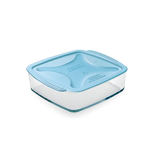 Treo Square Dish (650)