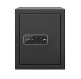 Godrej Home Locker NX Pro Digital (40L) Ebony