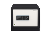 Godrej Home Locker Ritz Touch With I Buzz