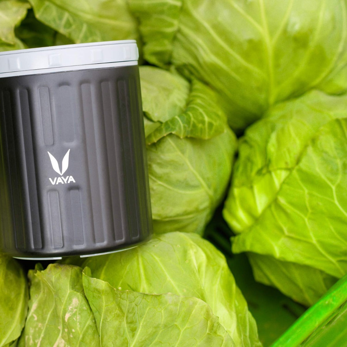 Vaya Preserve  Black - Vacuum Insulated Stainless Steel Meal Container, Meal Jar, Portable Lunch Box